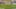 Miniatura de la captura de pantalla del juego 1