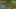 Miniature af spil-screenshot 1