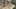 Thumbnail Spiel-Screenshot 1