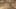 Thumbnail Spiel-Screenshot 2