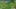 Miniature af spil-screenshot 4