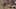 Thumbnail Spiel-Screenshot 4