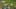 Miniatura da captura de ecrã do jogo 1