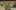 Thumbnail Spiel-Screenshot 5