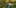 Thumbnail Spiel-Screenshot 4