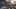 Thumbnail gamescreenshot 2