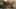 Thumbnail gamescreenshot 4