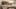 Thumbnail gamescreenshot 1