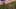 Miniatura de la captura de pantalla del juego 3
