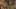Miniatura de la captura de pantalla del juego 5
