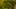 Thumbnail Spiel-Screenshot 2