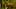Thumbnail Spiel-Screenshot 3