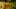 Thumbnail Spiel-Screenshot 4