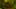 Thumbnail Spiel-Screenshot 5