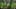 Thumbnail gamescreenshot 5