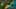 Miniatura de la captura de pantalla del juego 2