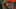 Miniatura de la captura de pantalla del juego 1