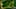 Miniatura de la captura de pantalla del juego 3