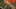 Miniatura de la captura de pantalla del juego 3