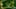 Miniatura de la captura de pantalla del juego 5