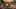 Miniatura de la captura de pantalla del juego 5