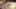 Miniatura de la captura de pantalla del juego 2