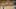 Miniatura de la captura de pantalla del juego 5