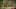 Miniature af spil-screenshot 1
