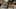 Miniatura de la captura de pantalla del juego 1