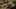 Game screenshot thumbnail 5