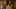 Miniature af spil-screenshot 5
