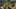 Game screenshot thumbnail 4