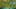 Thumbnail gamescreenshot 1