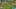 Thumbnail gamescreenshot 5