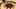 Thumbnail gamescreenshot 1