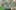 Miniature af spil-screenshot 1