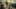 Miniatura de la captura de pantalla del juego 5
