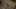 Thumbnail gamescreenshot 1