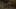 Thumbnail gamescreenshot 2