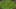 Thumbnail gamescreenshot 3