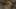 Thumbnail gamescreenshot 5