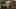 Thumbnail Spiel-Screenshot 1