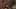 Thumbnail Spiel-Screenshot 3