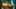 Thumbnail gamescreenshot 1