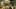 Thumbnail Spiel-Screenshot 2