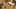 Thumbnail Spiel-Screenshot 1