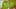 Thumbnail Spiel-Screenshot 5