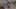 Thumbnail Spiel-Screenshot 1