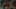 Miniatura de la captura de pantalla del juego 2