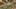 Miniatura de la captura de pantalla del juego 5